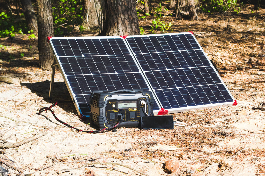 Lion Energy 100W 12V Portable Solar Panel 50170061 - Outage Proof