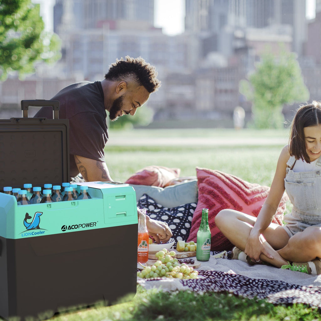 ACOPower LionCooler X40A Portable Solar Fridge Freezer, 42 Quarts (New Model ,Green Color) - Outage Proof
