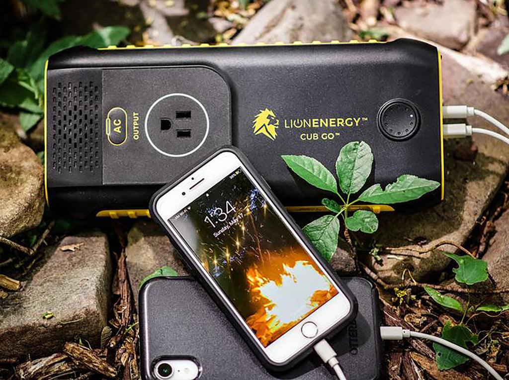 Lion Energy Lion Cub GO Handheld Portable Solar Generator 50170121 - Outage Proof